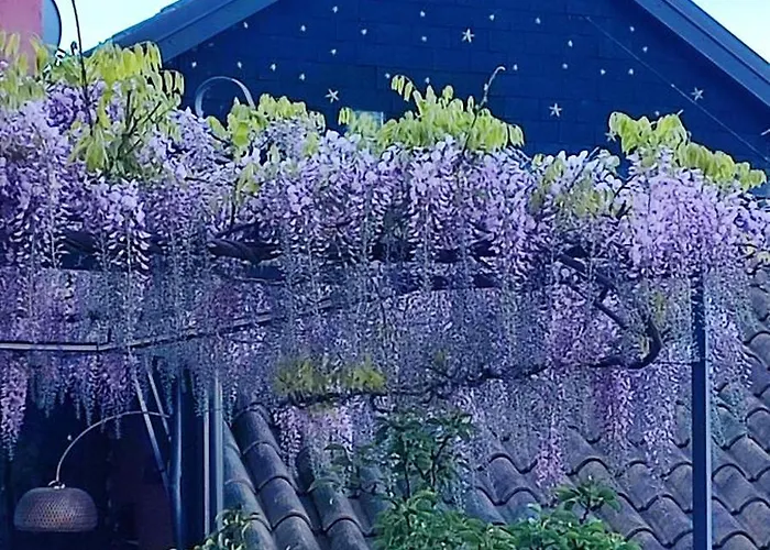 Casa vacanze Private Eco Retreat For Two - Hot Tub - Design And View Maccagno