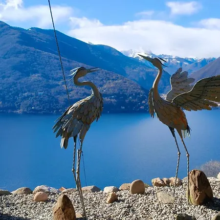 Hébergement de vacances Private Eco Retreat For Two - Hot Tub - Design And View